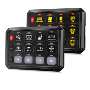 12 Gang Car Switch Panel Wholesale for 12V Vehicle and Boat